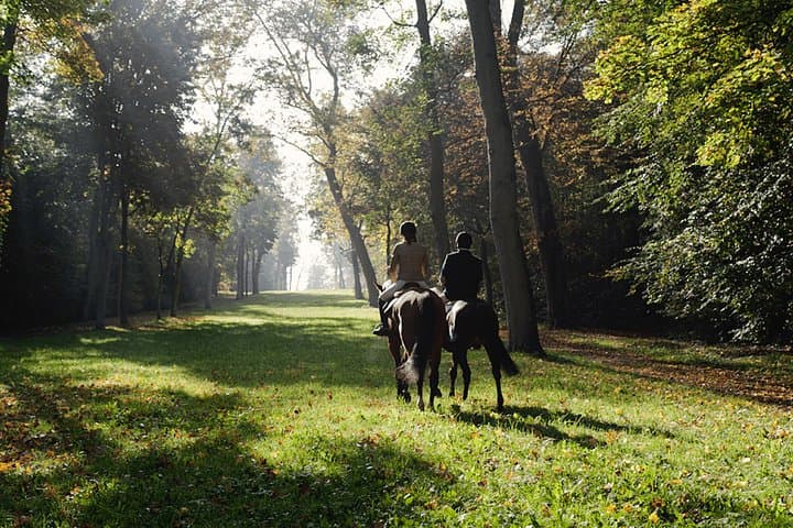 Balade à cheval au Palais de Versailles — photo 3