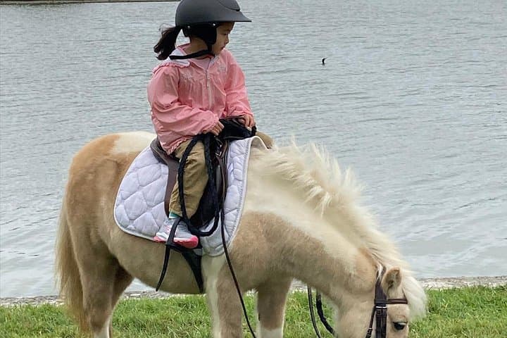 Balade à cheval au Palais de Versailles — photo 4