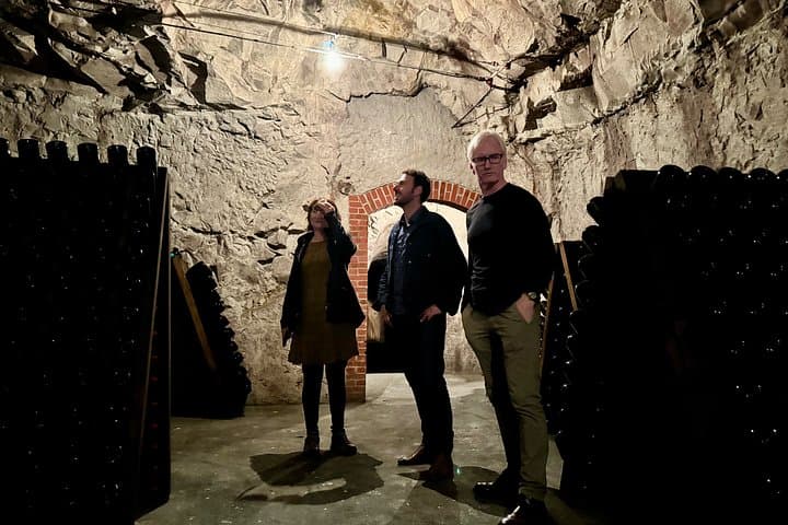 Champagner-Weinberge & Keller Tour mit Sommelier ab Paris — Foto 5