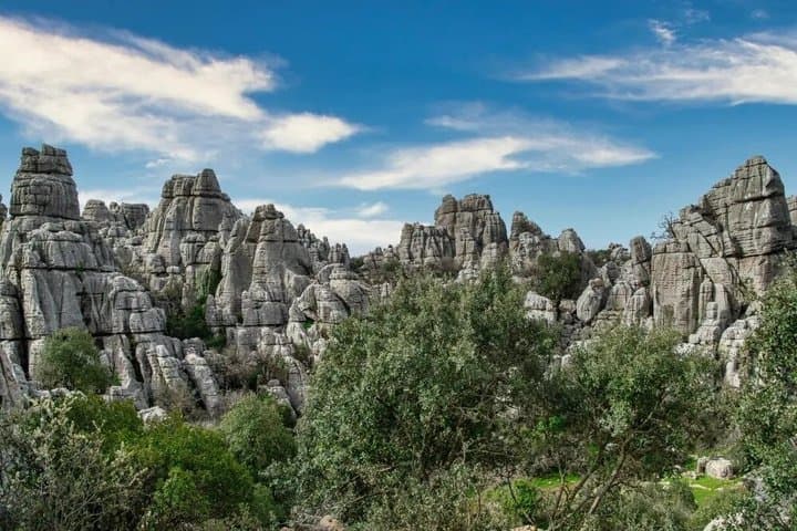 Tagesausflug Lobo Park und Torcal de Antequera von Granada — Foto 4