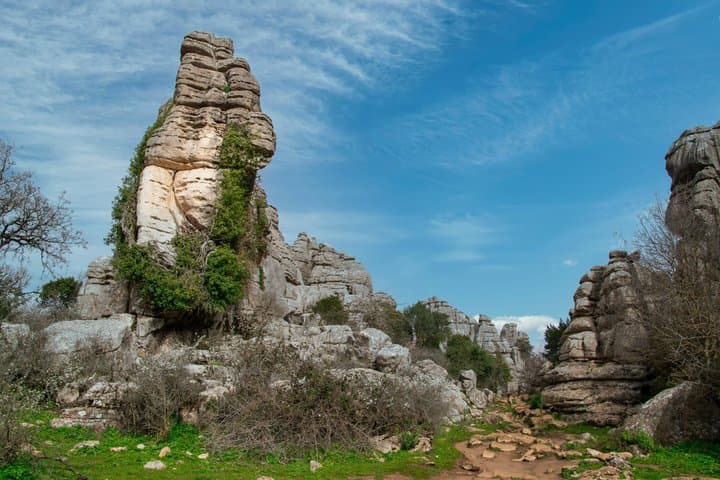Tagesausflug Lobo Park und Torcal de Antequera von Granada — Foto 5
