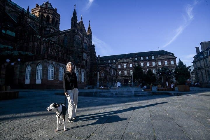 Servizio fotografico serale a Strasburgo — foto 5
