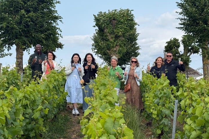 Escursione di un giorno in Toscana da Roma con degustazione di vini e pranzo tradizionale