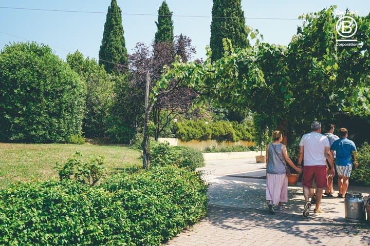 Amarone Weinverkostungstour ab Verona — Foto 5
