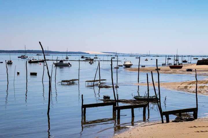 Excursion d'une journée complète de Bordeaux à la baie d'Arcachon et à la Dune du Pilat — photo 4