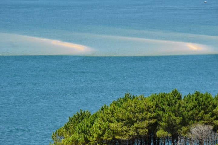 Excursion d'une journée complète de Bordeaux à la baie d'Arcachon et à la Dune du Pilat — photo 5