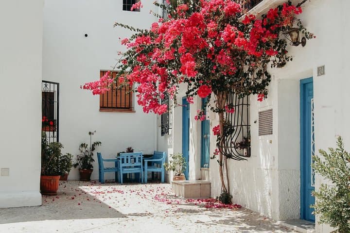 Excursión de un día a las Fuentes del Algar y Altea desde Valencia — foto 4