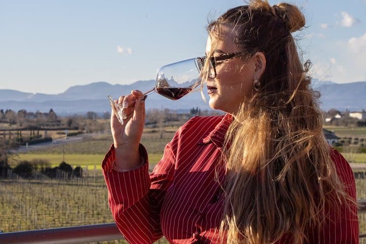 Dégustation de vins et visite de vignoble à Lazise