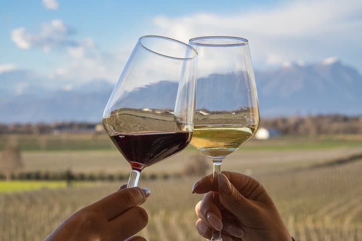 Dégustation de vins et visite de vignoble à Lazise — photo 2