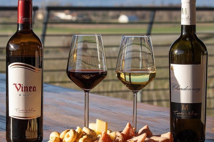 Dégustation de vins et visite de vignoble à Lazise — photo 3