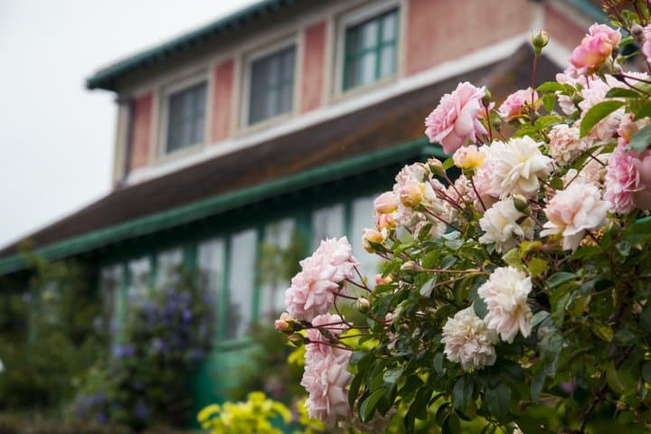 Giverny &amp; Monets Garten Tour von Paris — Foto 4