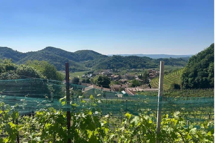 Prosecco-Hügel Wein- und Food-Tour ab Venedig — Foto 2