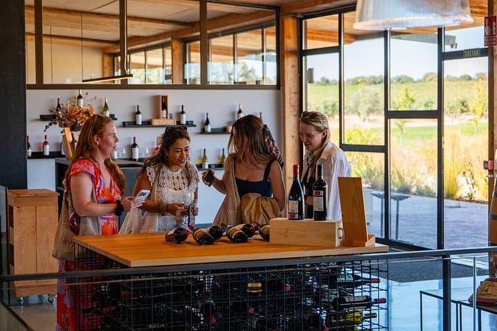 Geführte Tour zu den Weingütern der Ribera del Duero & Weinprobe ab Madrid