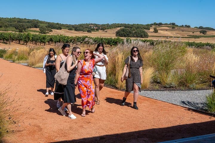 Geführte Tour zu den Weingütern der Ribera del Duero & Weinprobe ab Madrid — Foto 5
