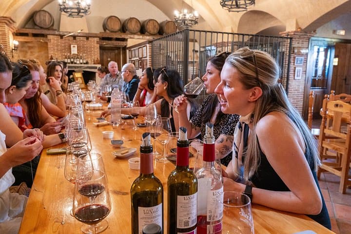 Geführte Tour zu den Weingütern der Ribera del Duero & Weinprobe ab Madrid — Foto 3