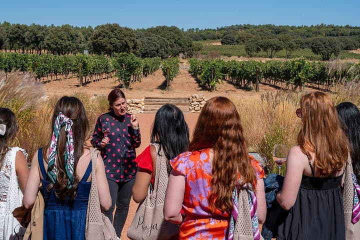 Geführte Tour zu den Weingütern der Ribera del Duero & Weinprobe ab Madrid — Foto 2