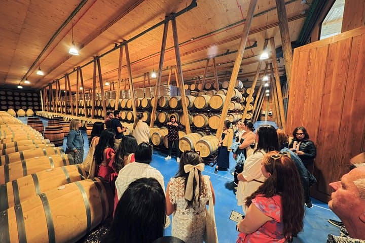 Geführte Tour zu den Weingütern der Ribera del Duero & Weinprobe ab Madrid — Foto 4