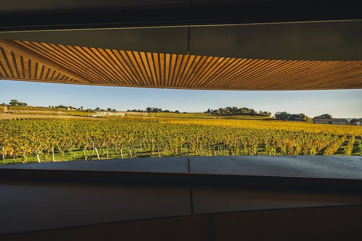 Private Tour von Weingütern in Saint-Émilion — Foto 3