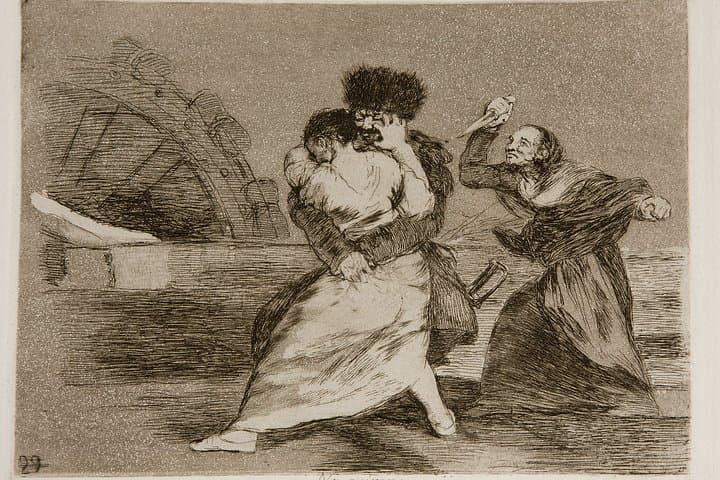 Goya y San Sebastián 1813: Historia, Arte y Napoleón — foto 2