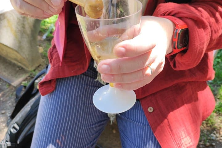 Esperienza di Vino e Storia a Torino — foto 4