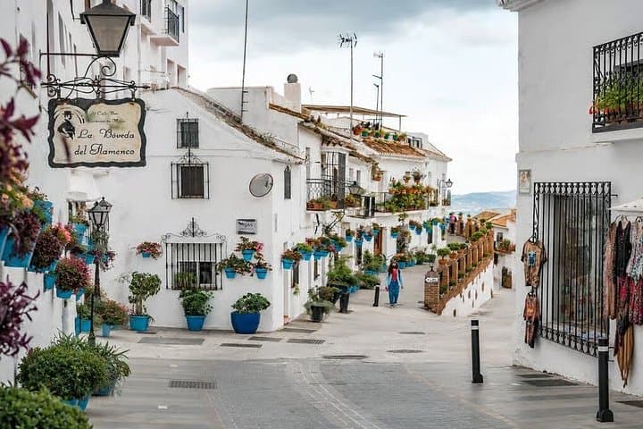 Tour di Mijas e Marbella con Puerto Banús e Castello Colomares — foto 5