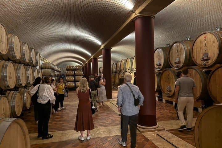 Experiencia de Vino Amarone y Valpolicella de Medio Día desde Verona — foto 5