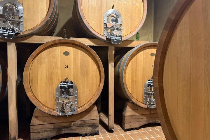 Experiencia de Vino Amarone y Valpolicella de Medio Día desde Verona — foto 4