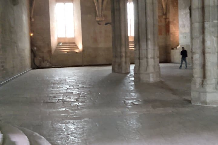 Paseo Cultural por Aviñón: Secretos de los Papas — foto 4