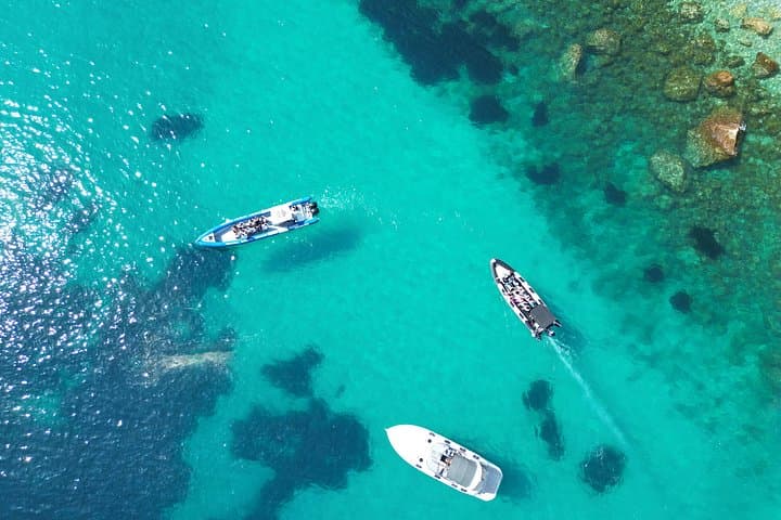 Tour in barca guidata di mezza giornata alle Grotte di Mala e Villefranche — foto 5