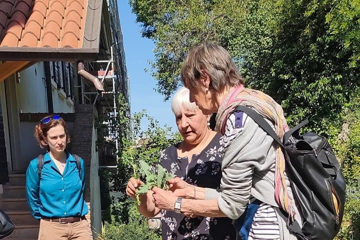 Passeggiata guidata nelle colline veronesi con pasto vegetariano di stagione — foto 4