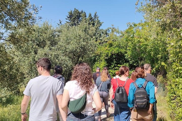 Passeggiata guidata nelle colline veronesi con pasto vegetariano di stagione — foto 3