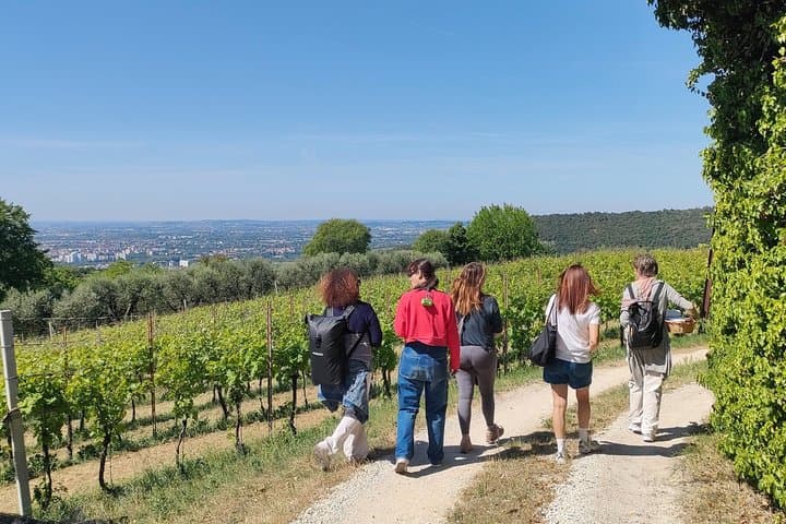Passeggiata guidata nelle colline veronesi con pasto vegetariano di stagione — foto 2