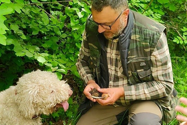 Expérience de chasse aux truffes et déjeuner au lac de Garde — photo 5