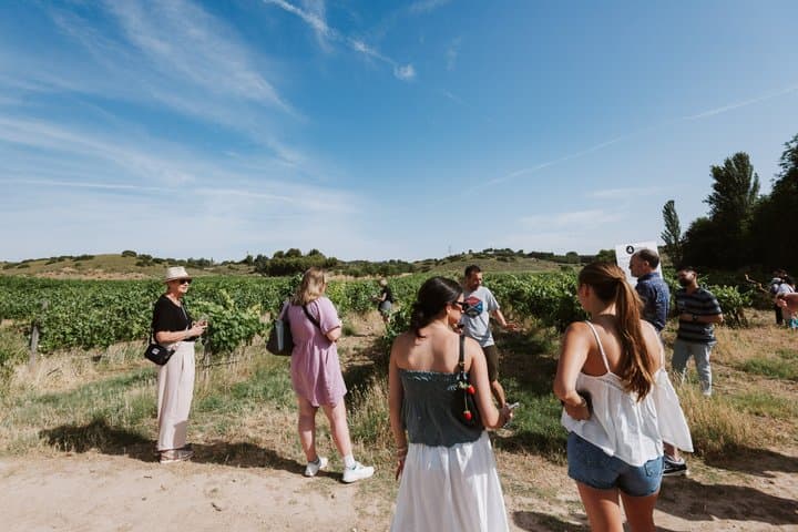 Geführte Weintour zu Weingütern in der Madrider Landschaft mit Weinverkostung — Foto 4