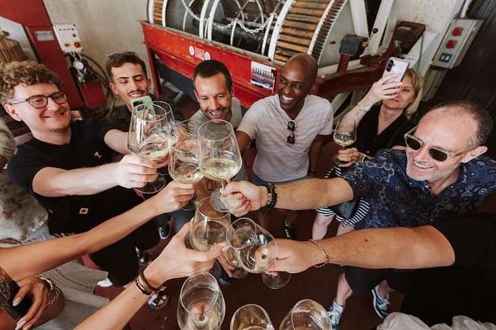 Geführte Weintour zu Weingütern in der Madrider Landschaft mit Weinverkostung — Foto 3