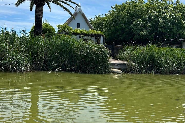 Expérience de coucher de soleil et balade en bateau à Albufera depuis Valence — photo 5