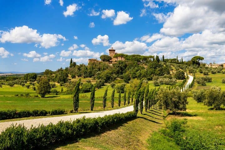 De Florence : Val d'Orcia, Montepulciano & Montalcino