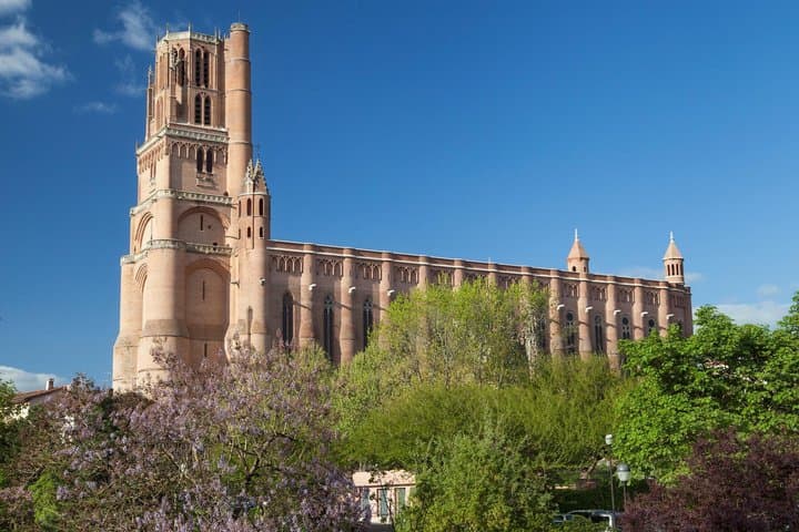 Escursione di un giorno ad Albi e Cordes-sur-Ciel da Tolosa — foto 2
