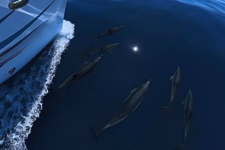 Excursion en bateau avec toboggans XXL sur la Costa del Sol — photo 5