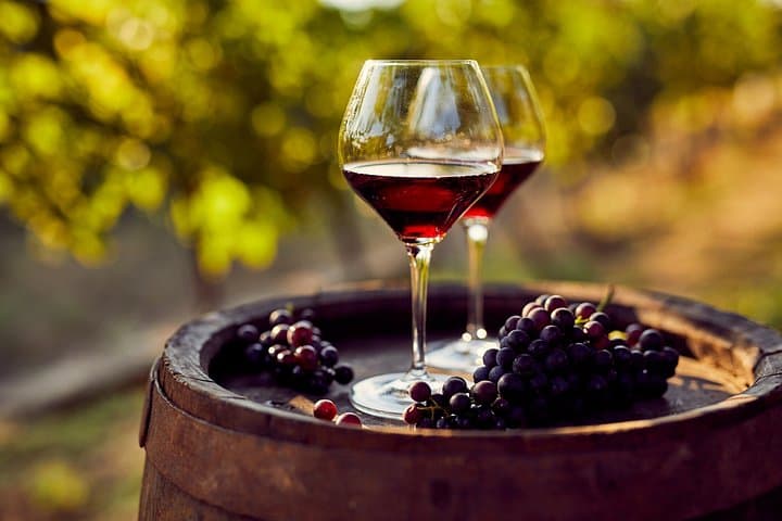 Tour zum Lago Iseo & Franciacorta Weingut — Foto 4