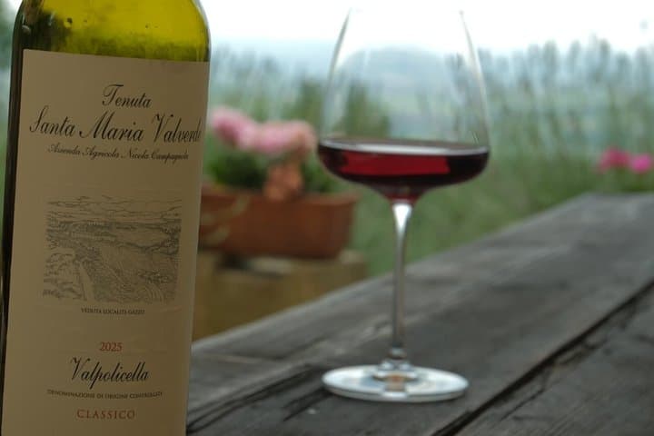 Weinverkostungstour durch die Valpolicella-Weinberge — Foto 3