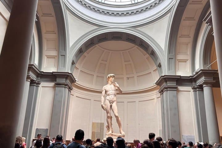 Biglietto per la Galleria dell'Accademia - David di Michelangelo
