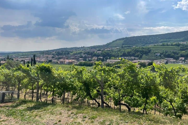 Weintour durch Amarone della Valpolicella