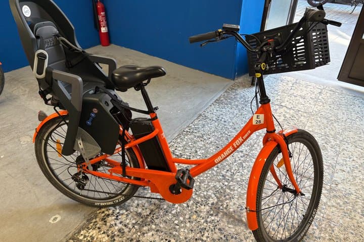 Tour storico di Madrid di 2,5 ore in bicicletta o e-bike — foto 3