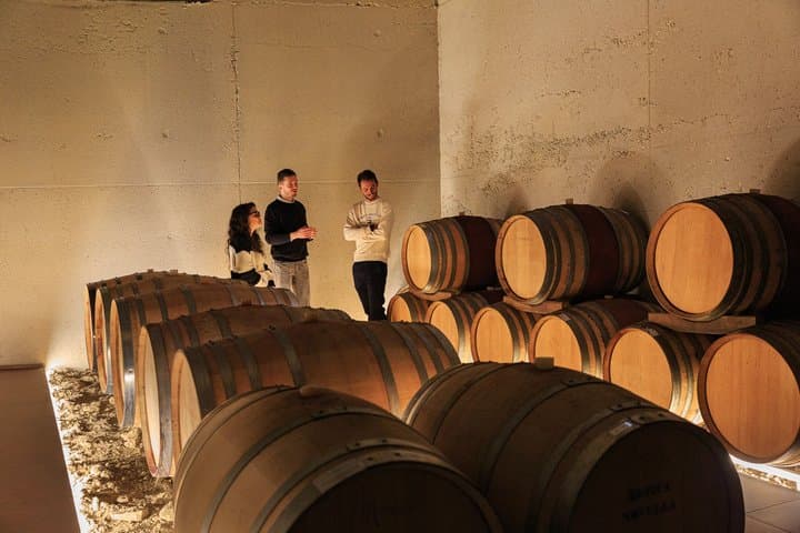 Tour Privado de Vino en Langhe con Sommelier — foto 2