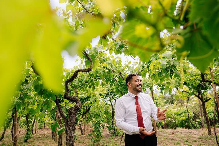 Visite de Pompéi et Déjeuner avec Dégustation de Vin — photo 2
