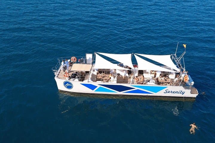 Dolphin Watching in Catamaran from Benalmadena — photo 3