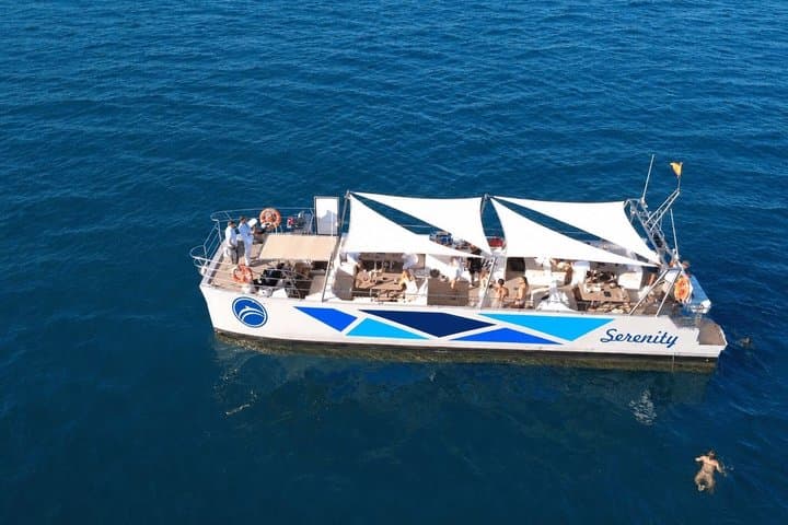 Osservazione dei Delfini in Catamarano da Benalmadena — foto 3