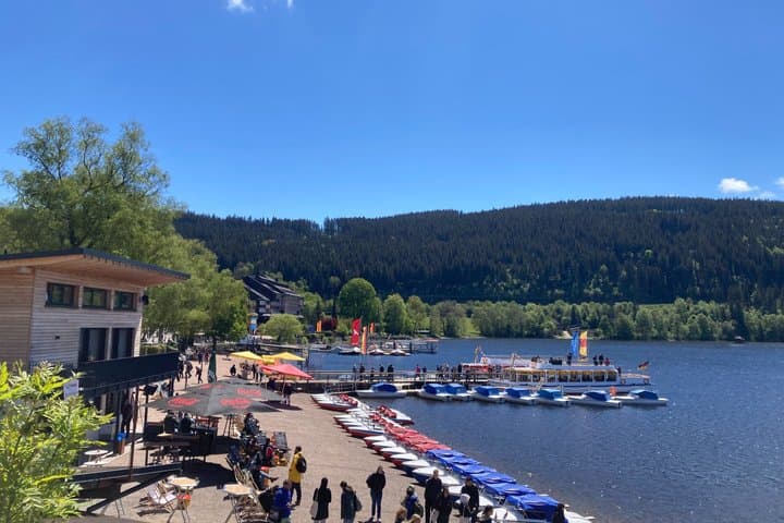 Da Strasburgo al Black Forest a Triberg Titisee Freiburg — foto 3