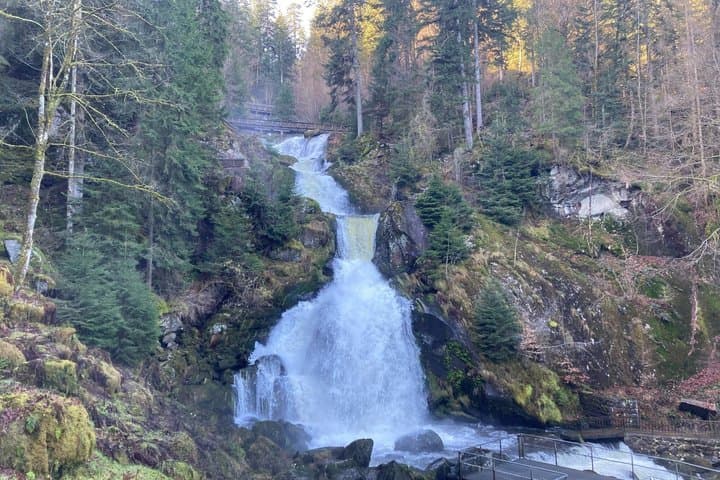 Da Strasburgo al Black Forest a Triberg Titisee Freiburg — foto 5
